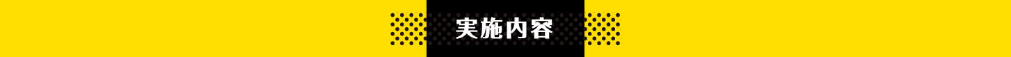 実施内容
